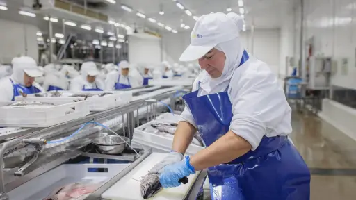 Cierre de Pacific Blue: Multigremial Nacional responsabiliza al Congreso por pérdida de 3.000 empleos en Biobío