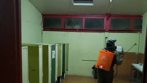 Daem Antuco intensifica acciones sanitarias tras la presencia de roedores en liceo Dr. Víctor Ríos Ruiz
