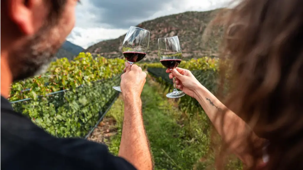 Turismo del vino enoturismo turismo de experiencia