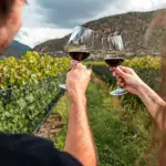 Turismo del vino enoturismo turismo de experiencia