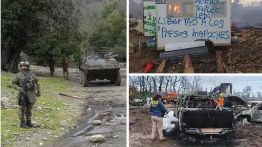 Tras ataque incendiario, alcaldes de Mulchén y Santa Bárbara llaman a frenar violencia rural