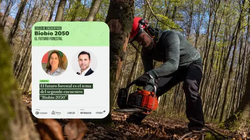 El futuro forestal es el tema del segundo encuentro Biobío 2050 