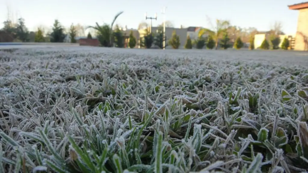 Se esperan mínimas de -3º en Los Ángeles para este miércol, Diario La Tribuna