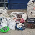 Los alambres de cobre fueron incautados por detectives de la PDI, PDI Biobío