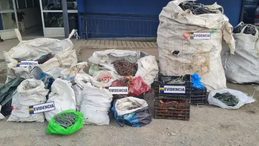 Incautan más de un kilo de alambre de cobre en Talcahuano: Una mujer fue detenida por receptación 