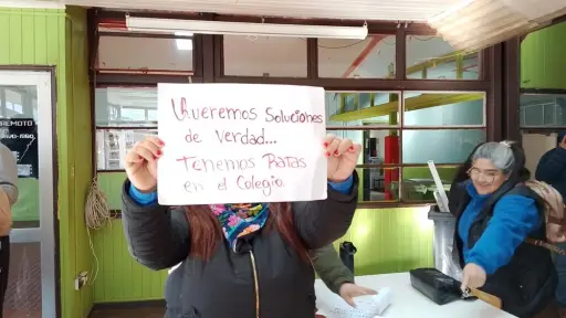 Apoderados denuncian plaga de roedores y murciélagos en establecimiento antucano y exigen suspensión de clases