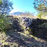 contexto, cedida