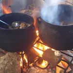estofado, cedida