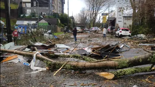Evalúan daños en Puerto Varas por el paso de un tornado