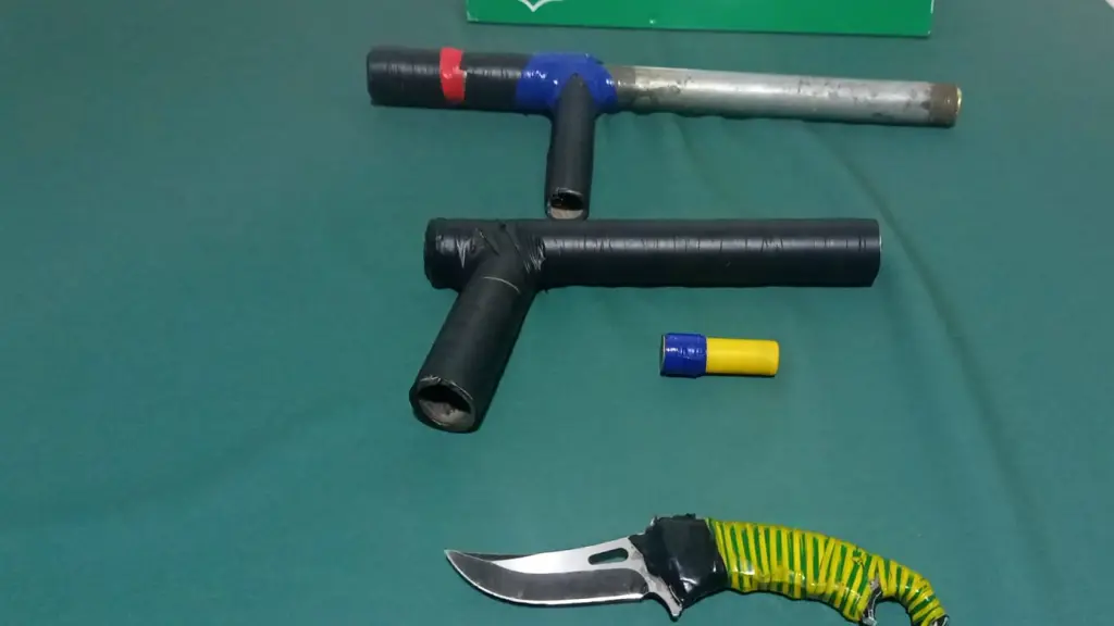 Especies incautadas por Carabineros, X: @CarabBioBio