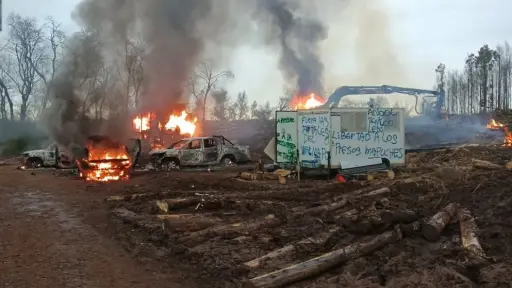 Atentado incendiario afecta a predio forestal de Mulchén