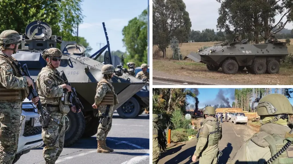 Macrozona sur violencia delegado