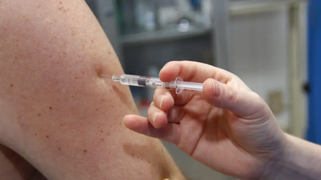 a autoridad sanitaria hizo un llamado general para que todos los niños, niñas y adolescentes completen su esquema de vacunación antes de salir del país., Referencial 