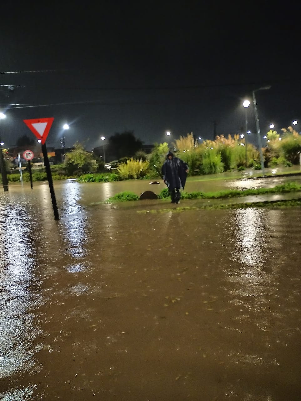 Inundación  / Cedida