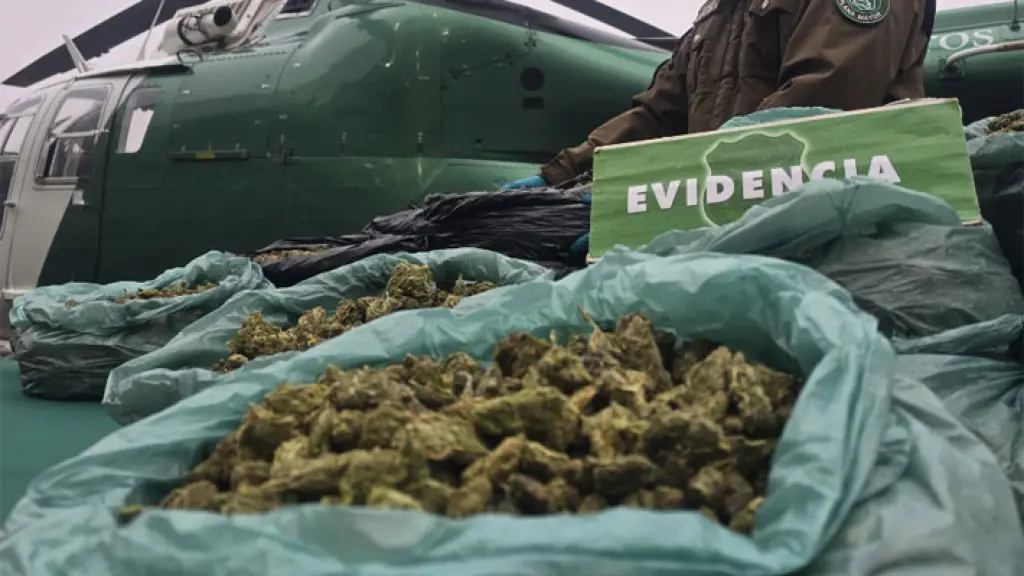 842 kilos de marihuana y dos personas detenidas dejó operativo antidrogas en Limarí, Carabineros
