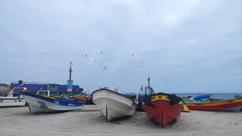 Desde la CPC Biobío apuntaron que el proyecto impulsado por el Ejecutivo disminuiría la certeza jurídica dentro de la industria.  