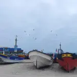 Desde la CPC Biobío apuntaron que el proyecto impulsado por el Ejecutivo disminuiría la certeza jurídica dentro de la industria.  