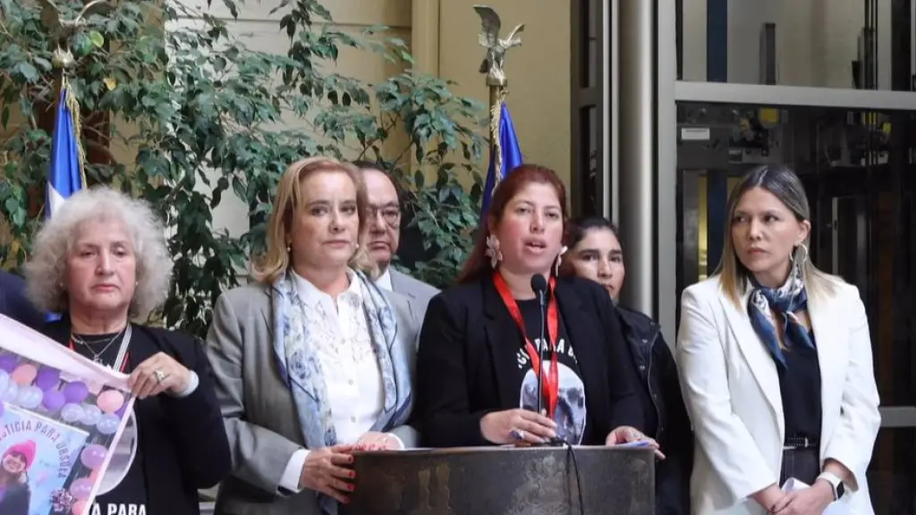 Ley Úrsula González