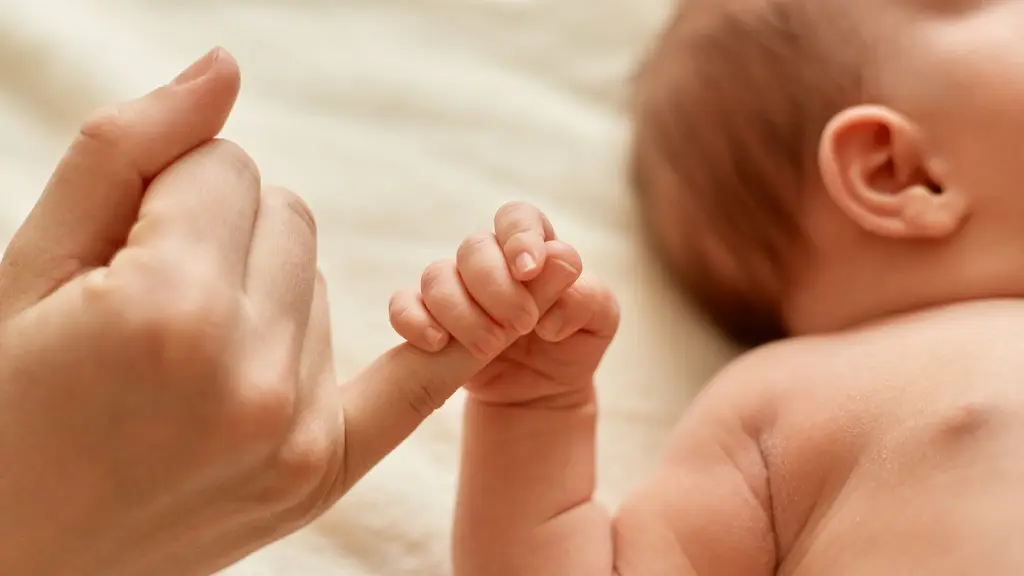 El anticuerpo monoclonal contra el VRS se administra de forma gratuita y directa en las maternidades desde marzo de 2025., Freepik