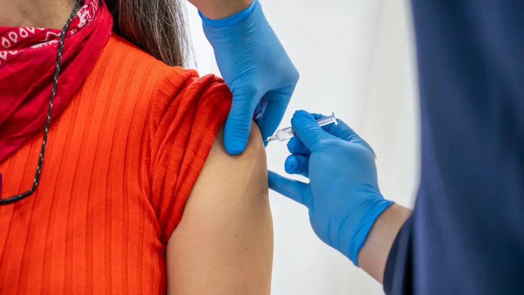 Campaña de vacunación contra la influenza , Seremi de Salud Biobío