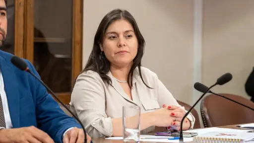 Diputada Karen Medina propone Registro Nacional de Funcionarios Públicos sancionados por fraude al Fisco tras escándalo de licencias médicas