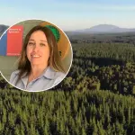  El rol del órgano dependiente del Ministerio de Agricultura es impulsar la sostenibilidad de la silvicultura y contribuir en la mitigación del cambio climático. , Fundación Terram 