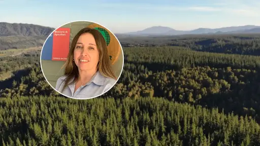 Directora ejecutiva del Infor invita a encuentro que abordará el mundo forestal a la capital provincial