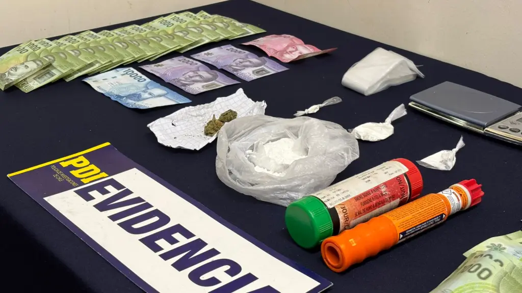 Diversas especies fueron incautadas en operativos policiales desarrollados en La Araucanía., PDI Araucanía