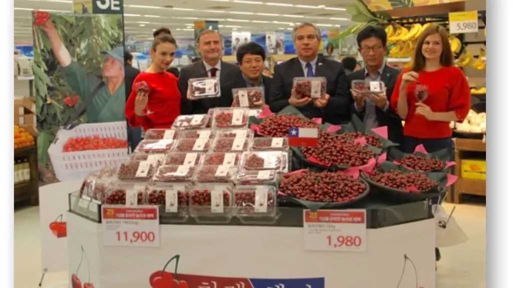 La temporada pasada se envió fruta de menor calibre del esperado, impactando negativamente la rentabilidad de agricultores y la percepción del producto chileno. / Mundoagro