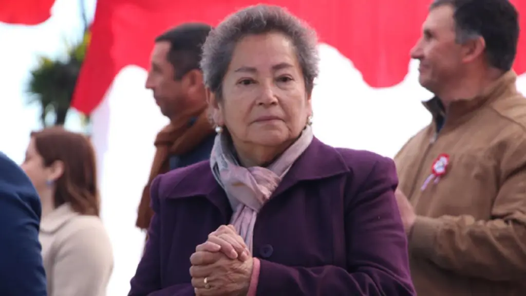 Concejala de Villa Alegre desaparece tras salir a ayudar a damnificados por el temporal, Diario La Tribuna