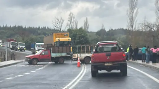 Vecinos de Mulchén protestan por cortes de luz bloqueando ruta Negrete-Mulchén