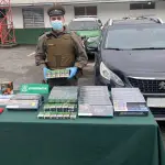 Especies incautadas por Carabineros de la Subcomisaría de Laja., Cedida