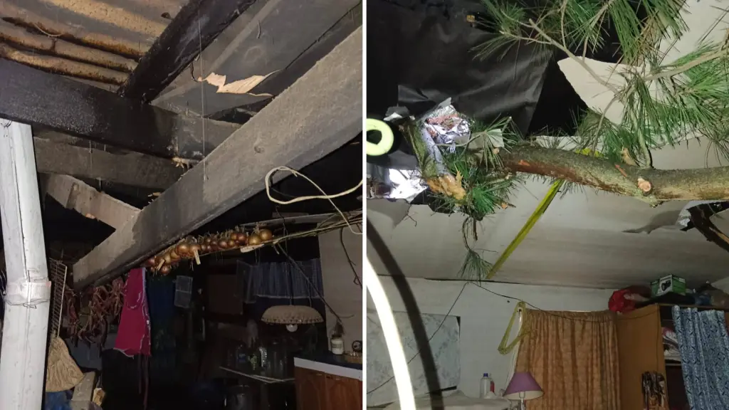 Villa Santa Clara árbol caído temporal 