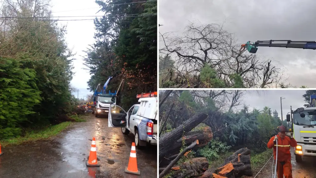 Los Ángeles Granja Osiris reposición de energía