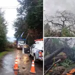Los Ángeles Granja Osiris reposición de energía