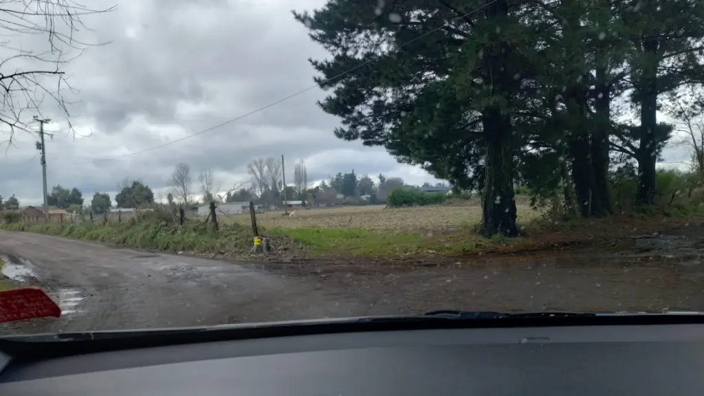 Sector de Llano Verde, Los Ángeles., Cedida