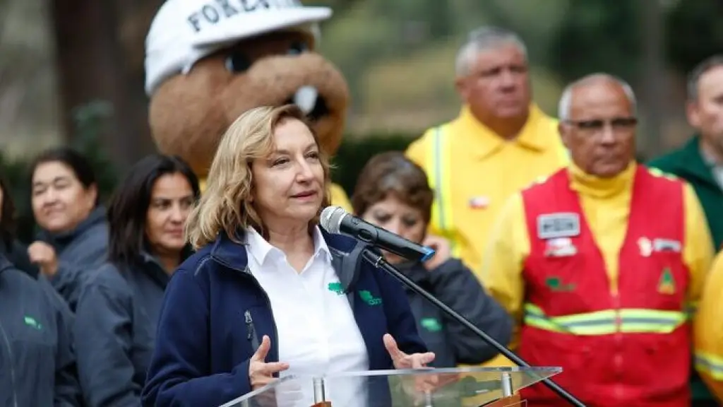 Los gremios representantes del sector forestal en Chile reconocieron el esfuerzo de la exautoridad por dialogar y restaurar zonas afectadas por incendios forestales.