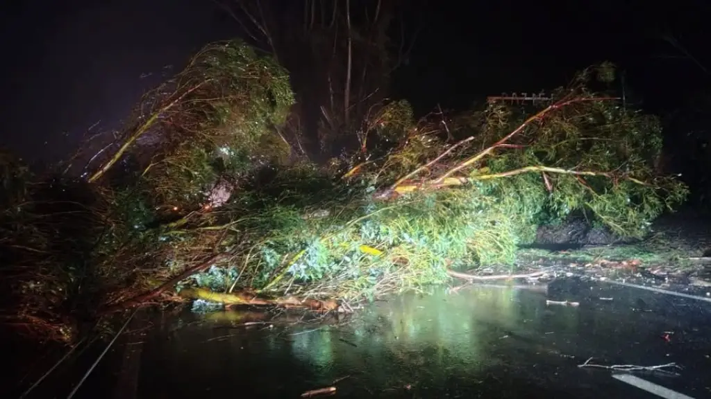 Cuadrillas del MOP trabajan en el despeje de árboles caídos por las fuertes rachas de viento, IEC-180