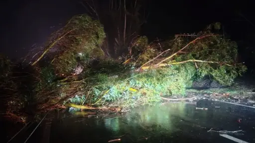 MOP cierra la Ruta de la Madera por sistema frontal que afecta a la región