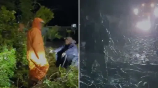 Caída de árboles y cortes de luz movilizan a cuadrillas de emergencia en Mulchén