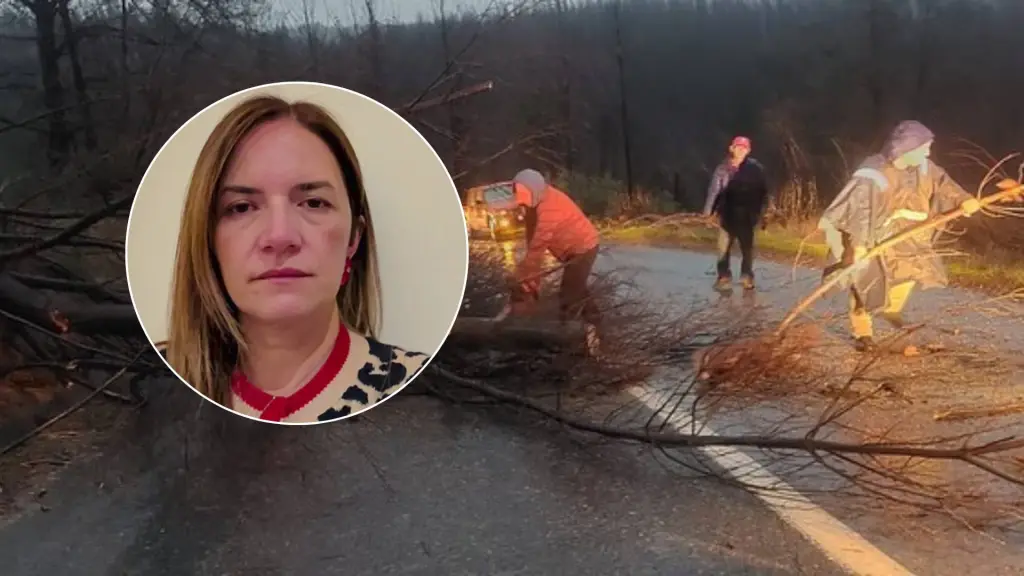 Contexto, La Tribuna