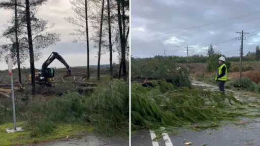 Ruta Q-20 sigue cortada: Municipalidad de Laja inicia labores de despeje de árboles caídos tras sistema frontal