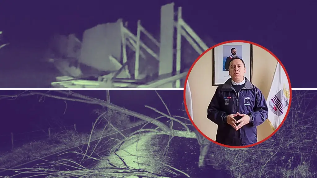 Javier Fuchslocher sistema frontal Biobío