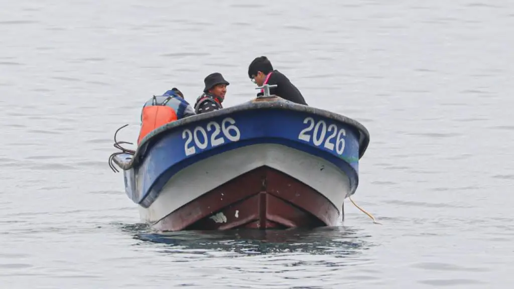 Encuentran polerón de pescador desaparecido en San Pedro de la Paz, Foto: CNN / Información: Meganoticias