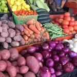 Con la llegada del invierno, se espera contar con hortalizas en calidad y cantidad para la temporada, para que los productores requieren de frío y precipitaciones.