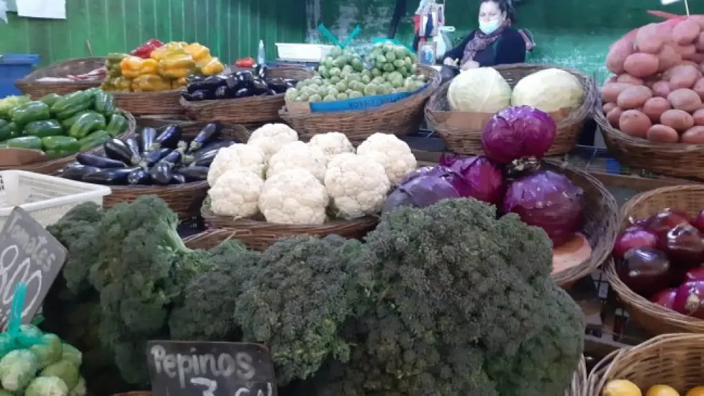 Cristián Muñoz advierte que un mercado aletargado podría reducir la tradicional abundancia de hortalizas en Chile. / San Carlos Online