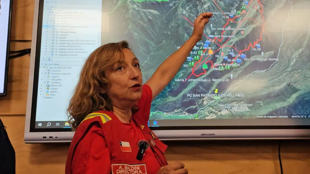 Aída Baldini renuncia voluntaria 