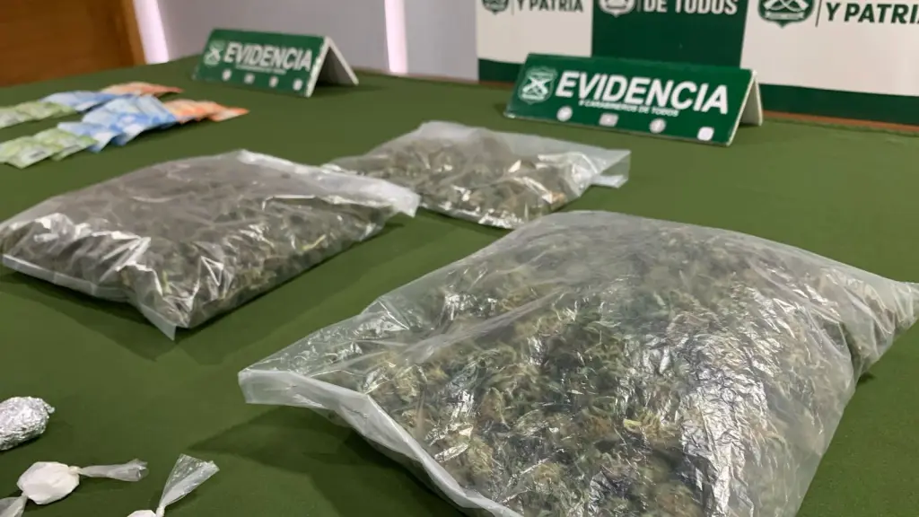 Carabineros incautó más de medio kilo de marihuana y clorhidrato de cocaína en diferentes formatos., Cedida