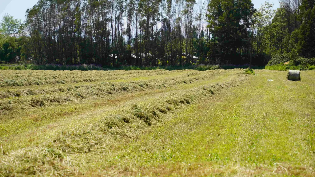 El suelo pierde sus cualidades productivas con el tiempo, lo que se corrige mediante la incorporación de una capa vegetal, productos y con la eliminación de piedras y malezas.