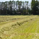 El suelo pierde sus cualidades productivas con el tiempo, lo que se corrige mediante la incorporación de una capa vegetal, productos y con la eliminación de piedras y malezas.